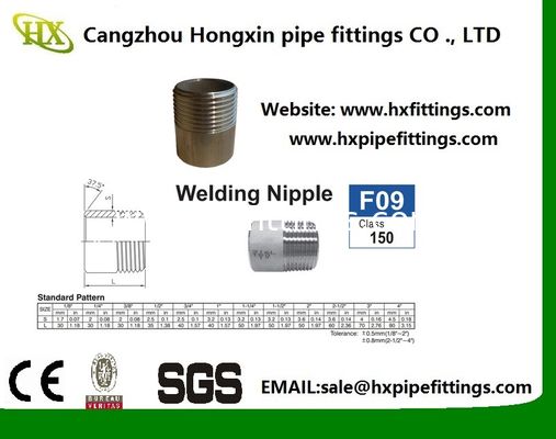 DIN2982/EN10241 Aço de carbono preto fechado Nipple/Pipe Nipple CHINA fabricante fornecedor